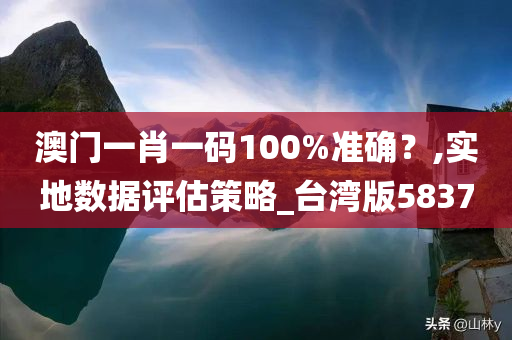 澳门一肖一码100%准确？,实地数据评估策略_台湾版5837