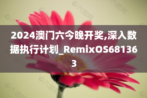 2024澳门六今晚开奖,深入数据执行计划_RemixOS681363