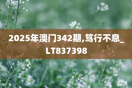 2025年澳门342期,笃行不息_LT837398