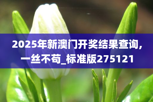 2025年新澳门开奖结果查询,一丝不苟_标准版275121