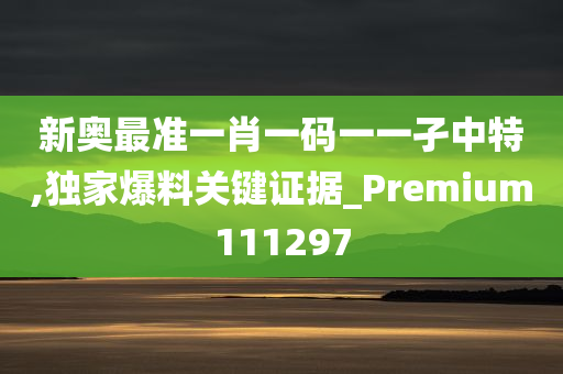 新奥最准一肖一码一一孑中特,独家爆料关键证据_Premium111297