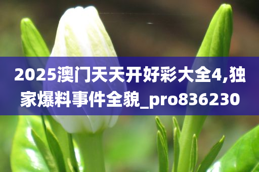 2025澳门天天开好彩大全4,独家爆料事件全貌_pro836230