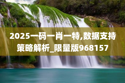 2025一码一肖一特,数据支持策略解析_限量版968157