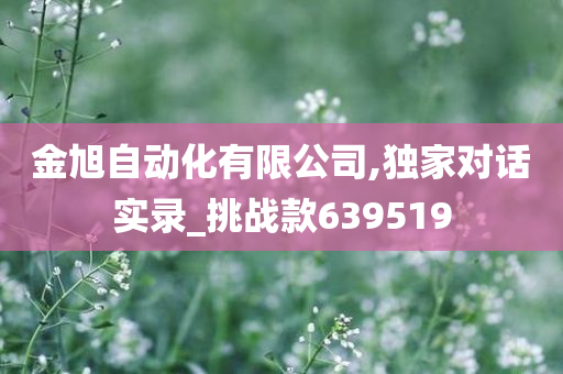 金旭自动化有限公司,独家对话实录_挑战款639519