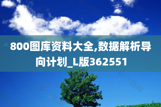 800图库资料大全,数据解析导向计划_L版362551