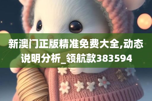 新澳门正版精准免费大全,动态说明分析_领航款383594