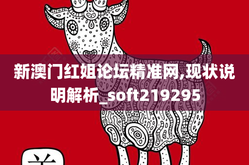 新澳门红姐论坛精准网,现状说明解析_soft219295