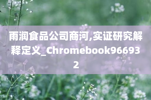 雨润食品公司商河,实证研究解释定义_Chromebook966932