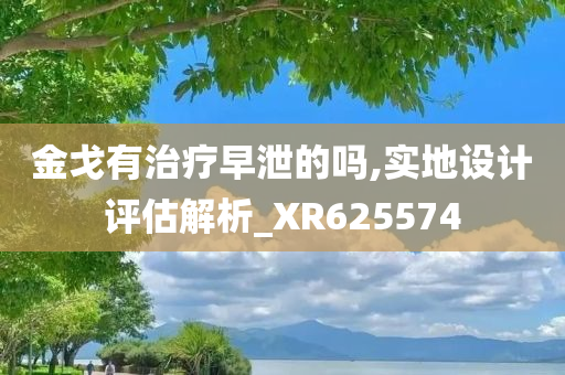 金戈有治疗早泄的吗,实地设计评估解析_XR625574