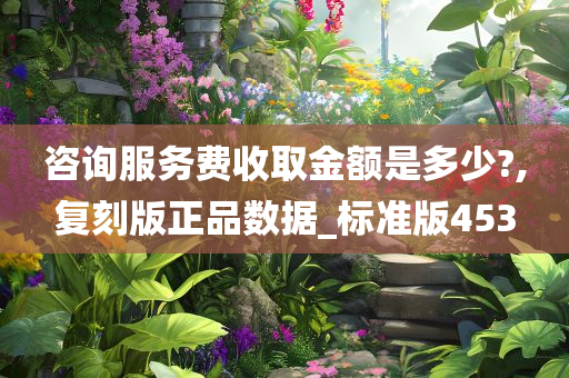 咨询服务费收取金额是多少?,复刻版正品数据_标准版453