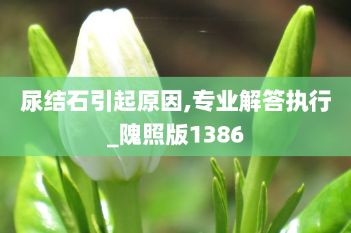 尿结石引起原因,专业解答执行_隗照版1386