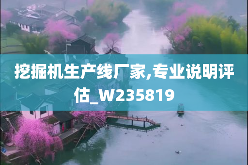 挖掘机生产线厂家,专业说明评估_W235819