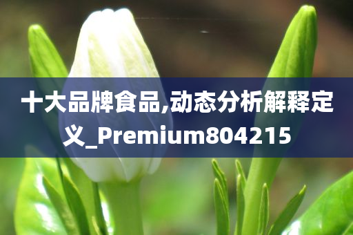 十大品牌食品,动态分析解释定义_Premium804215