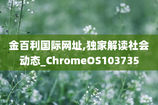 金百利国际网址,独家解读社会动态_ChromeOS103735