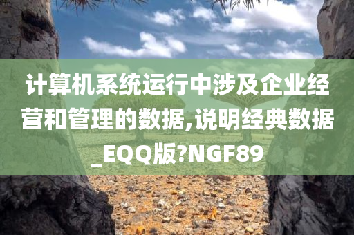 计算机系统运行中涉及企业经营和管理的数据,说明经典数据_EQQ版?NGF89