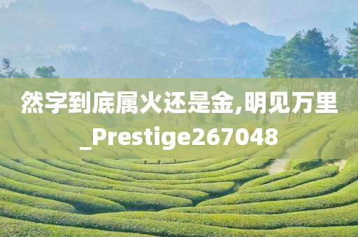 然字到底属火还是金,明见万里_Prestige267048