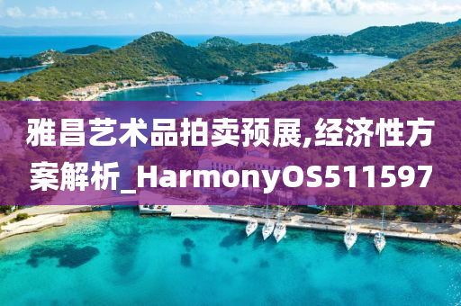 雅昌艺术品拍卖预展,经济性方案解析_HarmonyOS511597