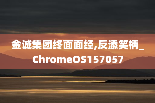 金诚集团终面面经,反添笑柄_ChromeOS157057