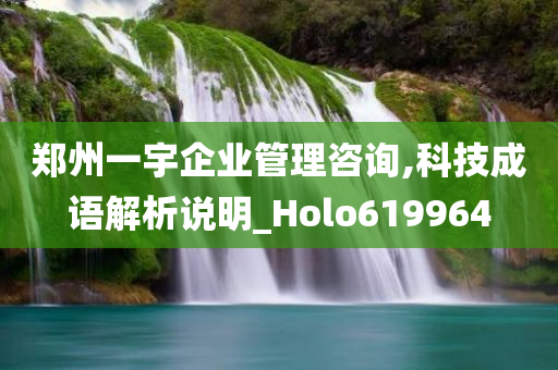 郑州一宇企业管理咨询,科技成语解析说明_Holo619964