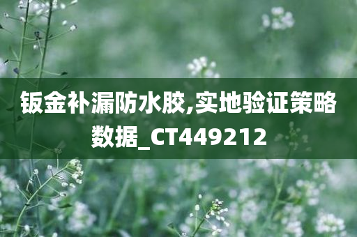 钣金补漏防水胶,实地验证策略数据_CT449212