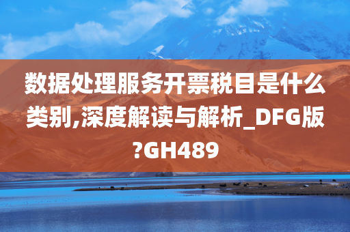 数据处理服务开票税目是什么类别,深度解读与解析_DFG版?GH489