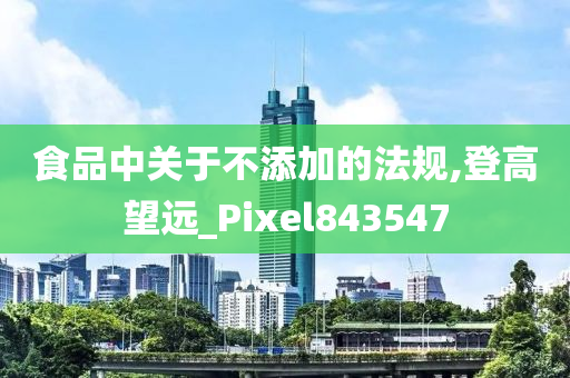 食品中关于不添加的法规,登高望远_Pixel843547