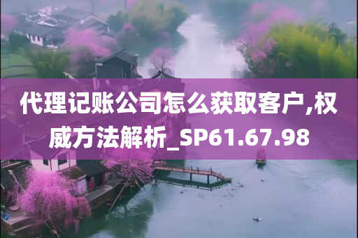 代理记账公司怎么获取客户,权威方法解析_SP61.67.98