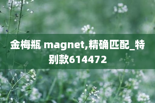 金梅瓶 magnet,精确匹配_特别款614472