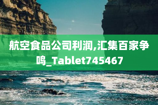 航空食品公司利润,汇集百家争鸣_Tablet745467