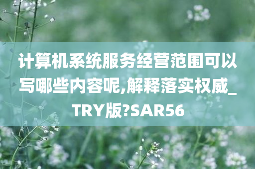 计算机系统服务经营范围可以写哪些内容呢,解释落实权威_TRY版?SAR56