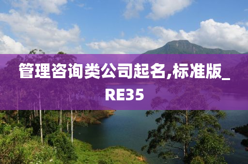 管理咨询类公司起名,标准版_RE35