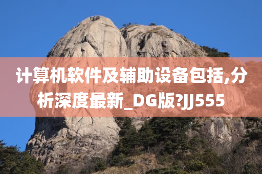 计算机软件及辅助设备包括,分析深度最新_DG版?JJ555