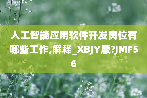 人工智能应用软件开发岗位有哪些工作,解释_XBJY版?JMF56