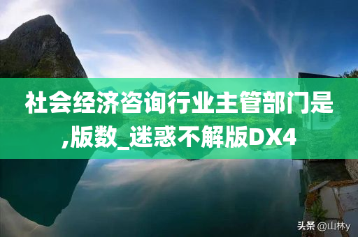 社会经济咨询行业主管部门是,版数_迷惑不解版DX4