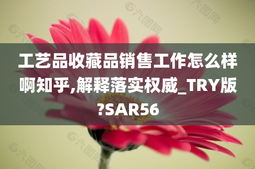 工艺品收藏品销售工作怎么样啊知乎,解释落实权威_TRY版?SAR56