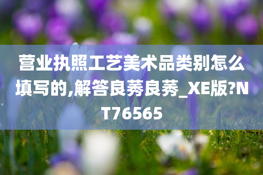 营业执照工艺美术品类别怎么填写的,解答良莠良莠_XE版?NT76565