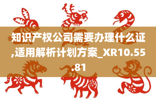 知识产权公司需要办理什么证,适用解析计划方案_XR10.55.81