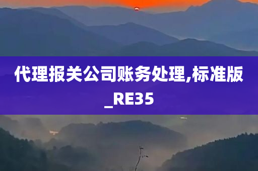 代理报关公司账务处理,标准版_RE35