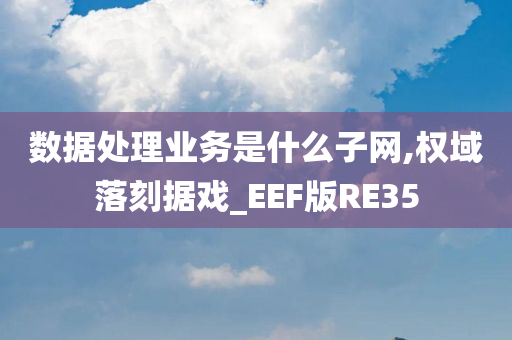 数据处理业务是什么子网,权域落刻据戏_EEF版RE35