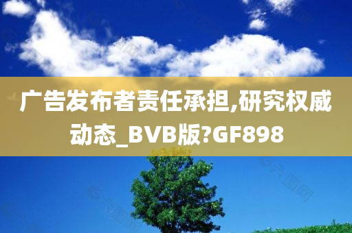 广告发布者责任承担,研究权威动态_BVB版?GF898