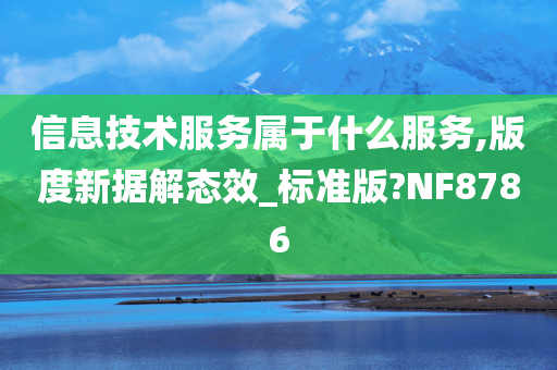 信息技术服务属于什么服务,版度新据解态效_标准版?NF8786