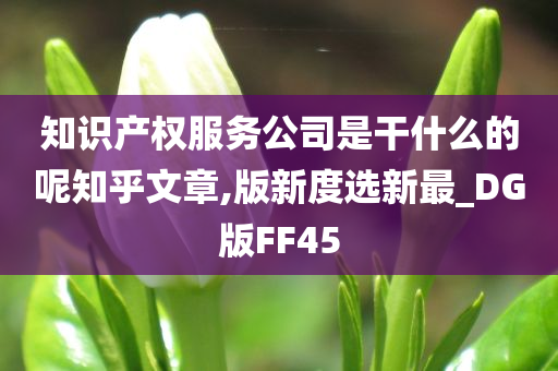 知识产权服务公司是干什么的呢知乎文章,版新度选新最_DG版FF45