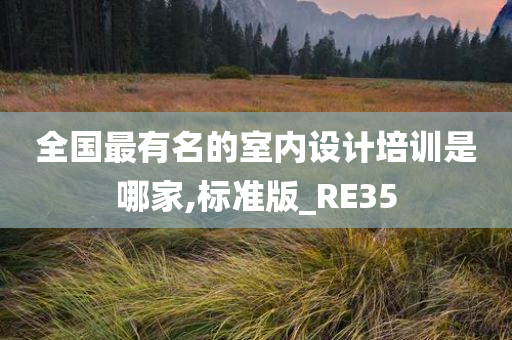 全国最有名的室内设计培训是哪家,标准版_RE35