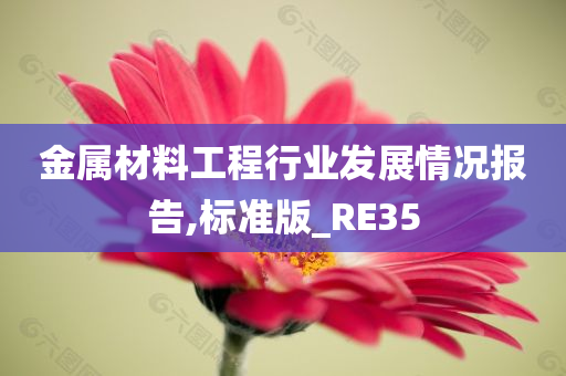 金属材料工程行业发展情况报告,标准版_RE35