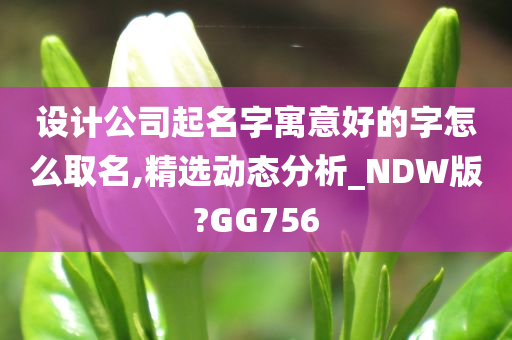 设计公司起名字寓意好的字怎么取名,精选动态分析_NDW版?GG756