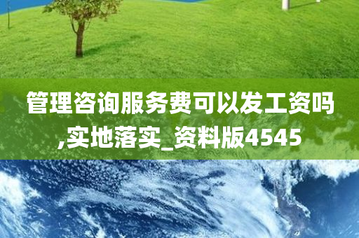 管理咨询服务费可以发工资吗,实地落实_资料版4545