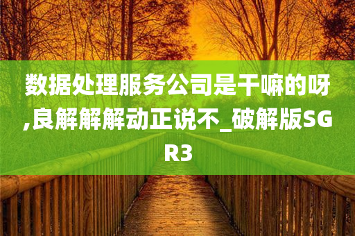 数据处理服务公司是干嘛的呀,良解解解动正说不_破解版SGR3