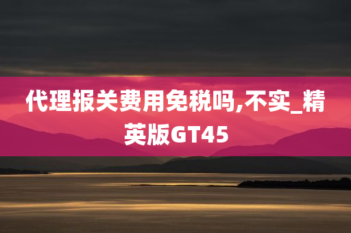 代理报关费用免税吗,不实_精英版GT45