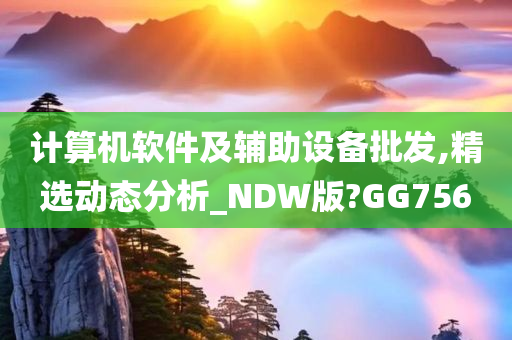 计算机软件及辅助设备批发,精选动态分析_NDW版?GG756