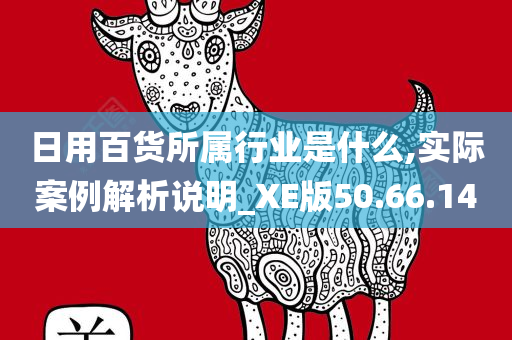 日用百货所属行业是什么,实际案例解析说明_XE版50.66.14